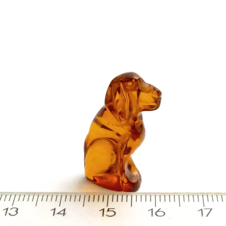 Natur-Bernstein, Hund