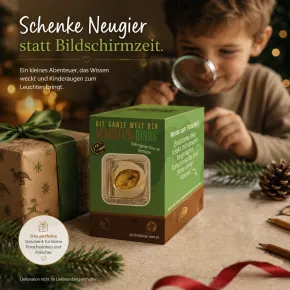 Forscherset´s bestimme dein Insekt! Größe "M"